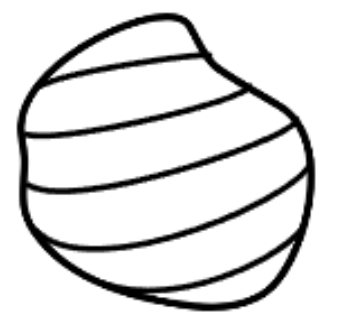 Webwicked logo